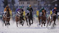 Pferdesport:  White Turf  St. Moritz 2011   Flachrennen