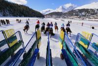 White Turf  St. Moritz 2010 FEATURE START