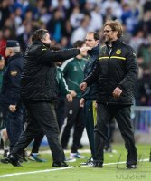 FUSSBALL INTERNATIONAL CHL HALBFINALE 12/13: SCHLUSSJUBEL Borussia Dortmund