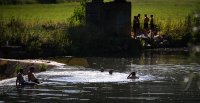 Schmuckbild Hitze, Baden im Neckar, Horb - Muehlen (Kreis Freudenstadt)