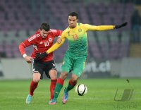 FUSSBALL INTERNATIONAL: Joel Matip (Kamerun)