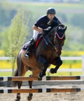Reiten Horb-Nordstetten Turnier Mai 2012