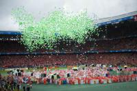 FUSSBALL EURO 2008: Schweiz - Tschechien