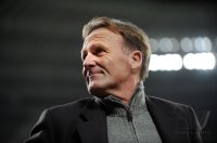 Fussball: 1. Bundesliga Saison 2010/2011: WATZKE