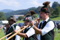 Almabtrieb - Viehscheid in Maierhoefen (Kreis Lindau) im Allgaeu