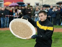 Eierlesen 2012 in Rottenburg-Kiebingen (Kreis Tuebingen)