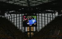 Fussball WM 2006 SWE-ENG