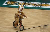 Bsaketball 1. Bundesliga Walter Tigers Tuebingen 57-66 Artland Dragons  