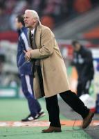 Fussball 1. Bundesliga: Koeln - Stuttgart, Trainer TRAPATTONI