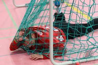 Handball 1. Bundesliga: TV Neuhausen - Frisch Auf Goeppingen