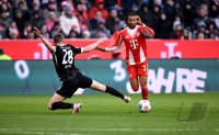 Fussball 1. Bundesliga  Saison  2025/2026  11. Spieltag 
FC Bayern Muenchen - SC Freiburg