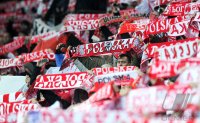 Fussball International:  Polen FANS mit Schal