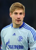 Fussball 1. Bundesliga, Saison 2011/2012: FC Schalke 04, Faehrmann