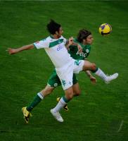 Fussball 1. Bundesliga 08/09  VfL Wolfsburg - SV Weder Bremen