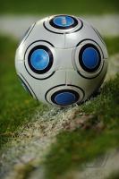 FUSSBALL, 1. BUNDESLIGA, 11. Spieltag: Feature Fu&sect;ball