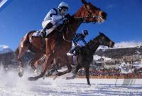 White Turf  St. Moritz 2010