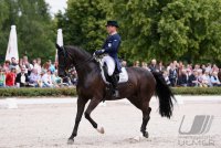 Reiten Tuebinger Landeschampionat 2016