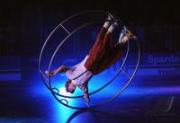 Turn Gala  Paul Horn Arena 2009