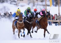 Pferdesport:  White Turf  St. Moritz 2014  Flachrennen