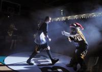 Basketball  1. Bundesliga  08/09  Walter Tigers Tuebingen - BG 74 Goettingen