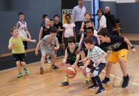 Basketball Young Tigers Tuebingen