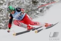 Ski Alpin; Abfahrt Training  Herren