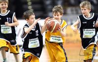 1. Basketball Bundesliga   Walter Tigers - Ludwigsburg