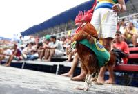 FIFA Beach Soccer World Cup Groupmatches