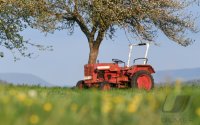 Hirrlingen (Kreis Tuebingen) Schmuckbild / Wetterbild: Traktor unterm Apfelbaum