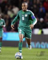 Fussball  International WM 2006, Elfenbeinkueste