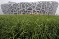 XXIX. Olympische Sommerspiele 2008