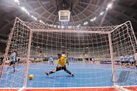 Fussball International FIFA FUTSAL WM 2008