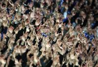 Fussball 1. Bundesliga: FC Schalke 04 - VfB Stuttgart