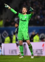 Fussball Bundesliga Saison 16/17: Hamburger SV - Schalke 04