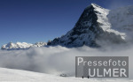 Ski Alpin;  Abfahrt Herren  Wengen Start Max Rauffer (GER) im Hintergrund Eiger, Moench, Jungfrau