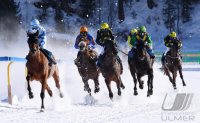 Pferdesport: White Turf  St. Moritz 2022