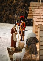 Rom Generalaudienz Papst Franziskus I.