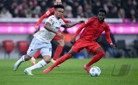 Fussball 1. Bundesliga 24/25: FC Bayern Muenchen - TSG 1899 Hoffenheim