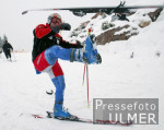 SKI   Weltcup  Kitzbhel Streif  Herren