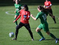 Fussball Regionenliga Oberliga 23/24: TV Derendingen - VfL Herrenberg