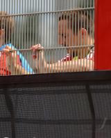 Fussball 1. Bundesliga: Training beim FC Bayern Muenchen