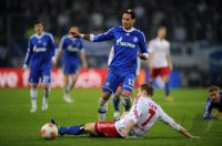 Fussball 1. Bundesliga Saison 12/13: Hamburger SV - FC Schalke 04