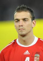 Fussball WM  2010  Qualifikation: Ungarn - Portugal