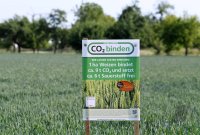 Rottenburg (Kreis Tuebingen) Schmuckbild; CO2 Bindung in der Landwirtschaft