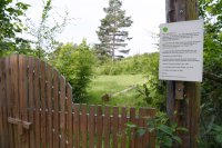 Linden Dom Horb - Altheim (Kreis Freudenstadt)