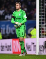 Fussball Bundesliga Saison 16/17: Hamburger SV - Schalke 04