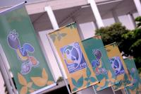 Fussball International FIFA FUTSAL WM 2008