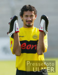 1. Bundesliga  BVB Ferndndez