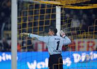 Fussball Bundesliga  ZIDAN  (Borussia Dortmund)