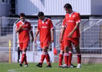 Fussball 3. Bundesliga:  FC Bayern Muenchen II - Erzgebierge Aue